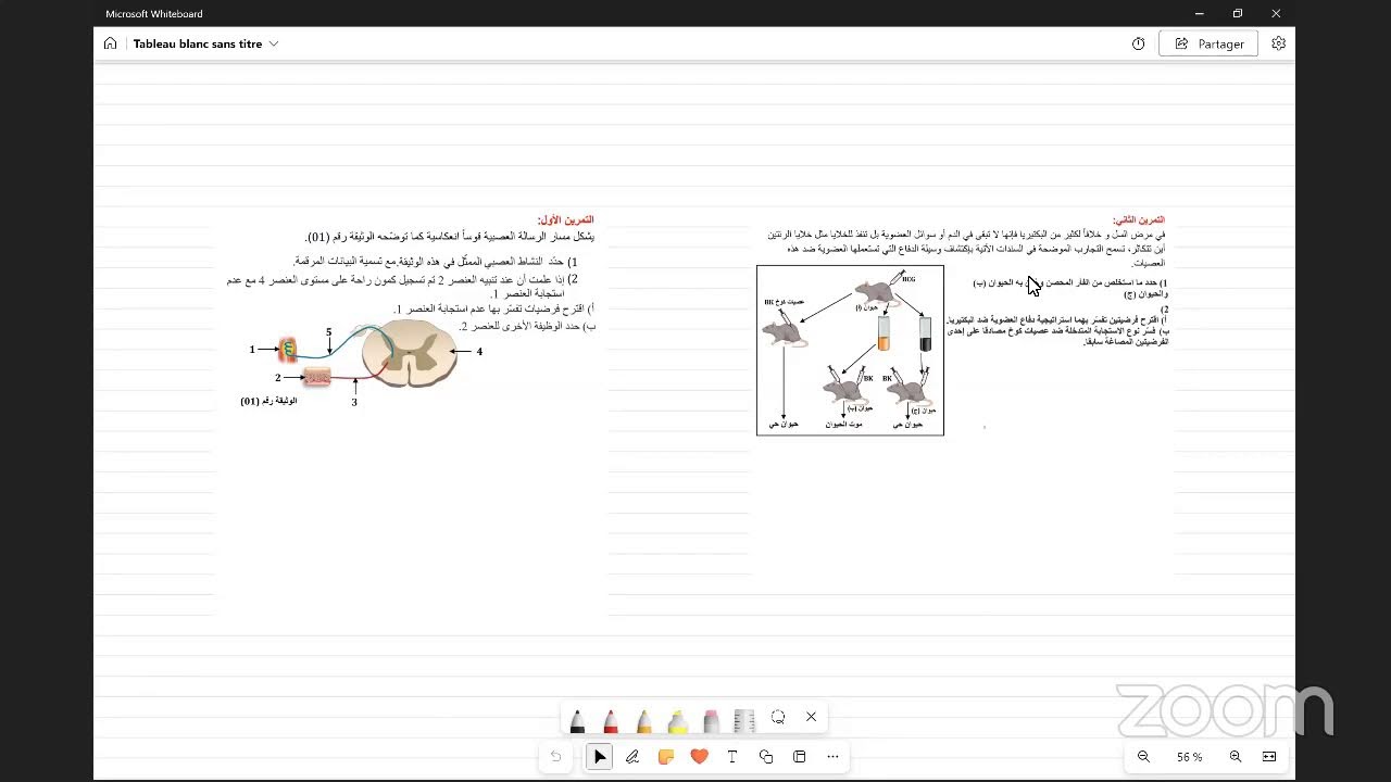 تمارين حصرية لمراجعة العلوم الرابعة متوسط
