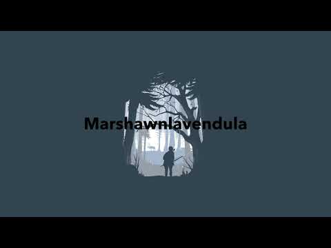 [Free] 코드 쿤스트 X 우원재 타입 트랩 비트 "Travel" ㅣ Travis Scott X Gunna Type Trap Beat ㅣ Marshawn Lavendula