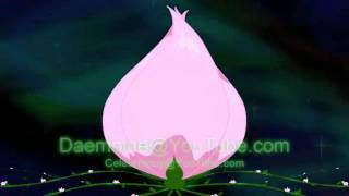 Inner Eternal Group Transformation - CWI Style