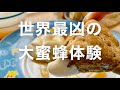 「豆乳クリーム&オートミールバナナブレッド/世界最凶大蜜蜂の蜂蜜体験」COCCO CHANNEL