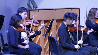 Chamber Orchestra - Sweet Dreams Are Made Of This