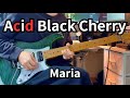 Maria/Acid Black Cherry GuitarCover