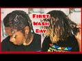 DIY Microloc // How I Wash My Microlocs // First Wash Day