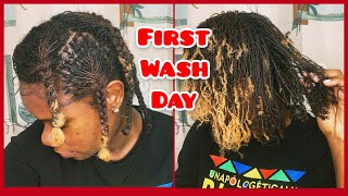 DIY Microloc // How I Wash My Microlocs // First Wash Day