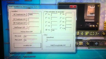 Flyff xenox3 Levelbot 4.8.2012