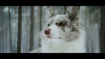 Solon x Dallerium  - Different Dimension (ft Sarah de Warren) (Official Music Video)