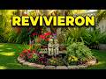 🤑VOLVIERON A LA VIDA ESTOS JARDINES 😱#viralvideo