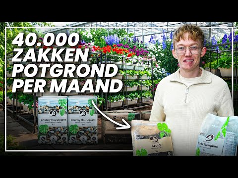 [Handcam] Siang Menuju Sendja . sambil ngemil sosis【 Arian Adiyaksa | VTuber Indonesia 】