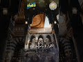 الفردوس