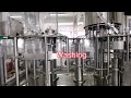 KOYO REGO Bottled Water Production Line | Automatic Bottle Washing Filling Capping Machine