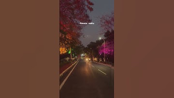 Gala Gala Gala Gallatu Manase ❤️ | Apaleka Apaleka ✨ |