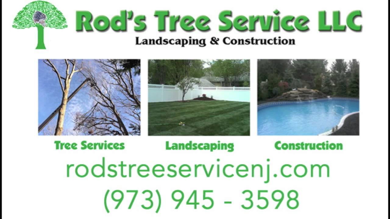 Tree Service Company In Morris County NJ