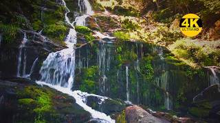 Fascinating Waterfall in 4K HDR - 1 Hour of Nature ambience