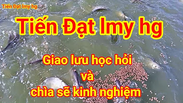 Nuôi cá thác lác cườm, cho cá thác lác cườm ăn