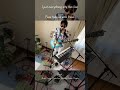 think... by Kumicho #live #guitar #vivo