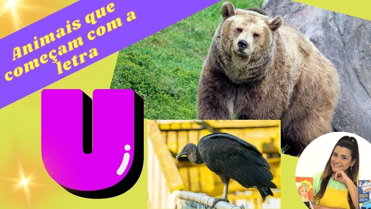 ANIMAIS QUE COMEÇAM COM A LETRA U / VAMOS CONHECER OS ANIMAIS / OS ...
