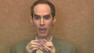 Video 21 The Powerform Plates