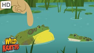 Semi-Aquatic Creatures | Frogs, Crocodiles, Hippos   more [Full Episodes] Wild Kratts