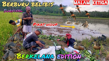 GILAA‼️JARING BELIBIS TANPA MP3 HASIL MELIMPAH✅BIRD TRAPPING✔️