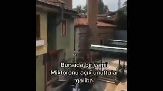 Bursadaki Cami Serdar Edit