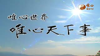 恭讚王禪老祖天威【唯心天下事2439】｜ WXTV唯心電視台