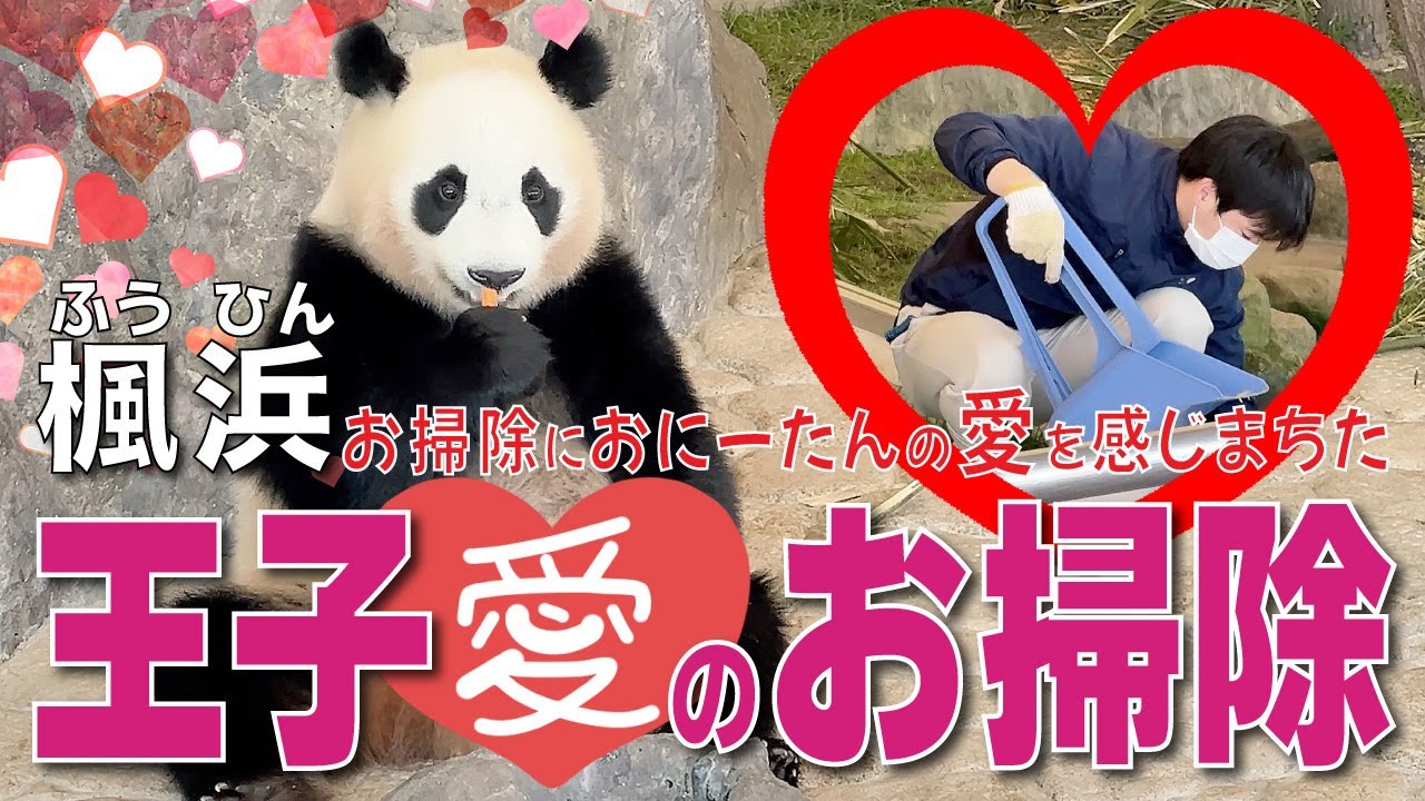【楓浜（ふうひん）】王子🤴🏻愛💖のお掃除🧹楓ちゃん🐼とお客さんを待たせない爆速・丁寧な芸術的お掃除に感動💓