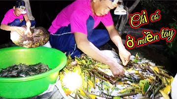 Cận cảnh đổ lú sổ ở Ngọc Hiển Cà Mau / Cảnh này chỉ có ở miền tây / Cách người miền tây sổ vuông