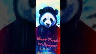 Panda Wallpaper