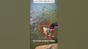 bro did a crazy trick to catch fish without fishing!! #edit #fishing