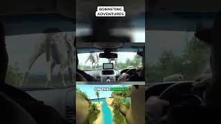 Bonneting Adventures