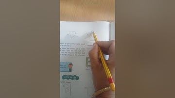 Class 4th  Chapter 13 Shapes and Patterns  Ex.13.5