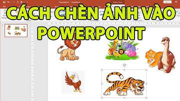 Cách chèn ảnh vào powerpoint