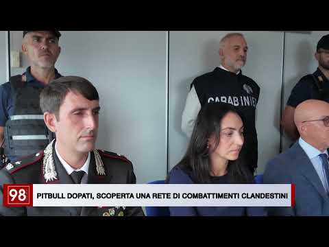Video PITBULL DOPATI, SCOPERTA UNA RETE DI COMBATTIMENTI CLANDESTINI wav