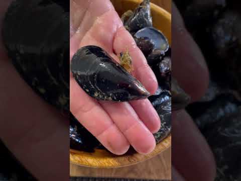 Video: ¿Los mejillones deben estar abiertos cuando los compras?