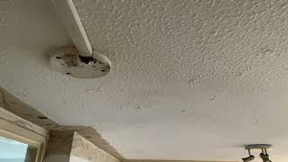 IMG 7911 06:33 29 JULY 2026 BANNING MY CEILING