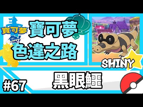 寶可夢劍盾【色違之路】#67【黑眼鱷】野閃!!進化+圖鑑展示『Pokemon Sword & Shield』