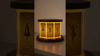 Thesis video