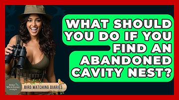 What Should You Do If You Find An Abandoned Cavity Nest? - Bird Watching Diaries