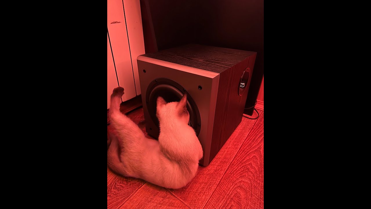 Что внутри сабвуфера Edifier T5?