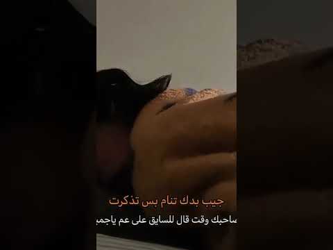 على عم يا جمبو 🤣