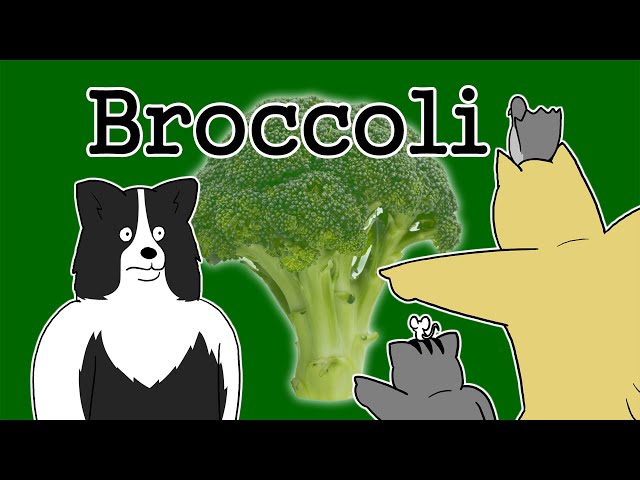 [Beast Friends] Broccoli class=