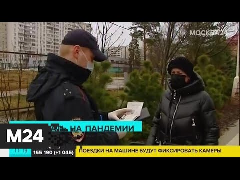 В Сети участились случаи продажи поддельных пропусков - Москва 24