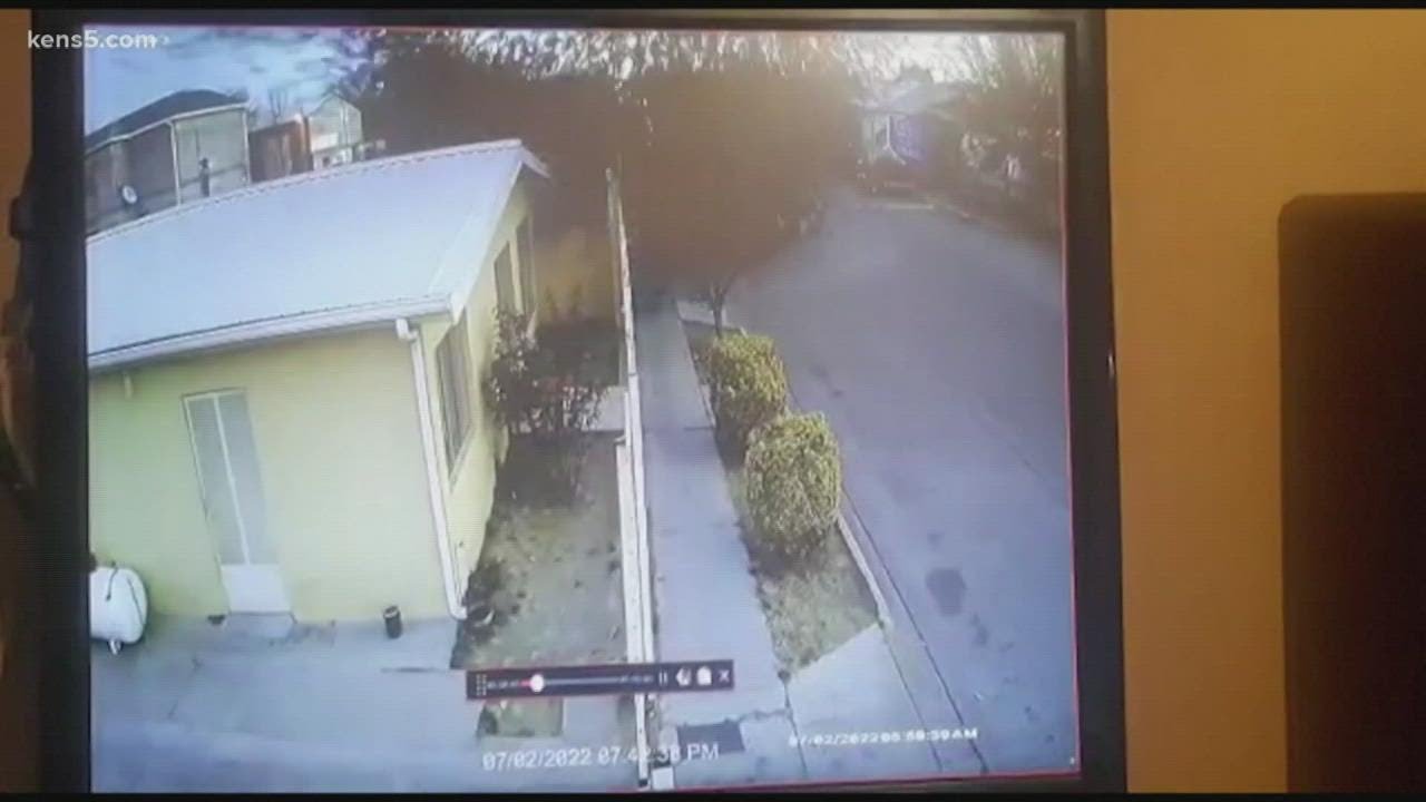 Bizarre video shows large flock of birds drop dead mid flight