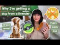 Why I&#39;m getting a dog from a breeder, breed reveal &amp; puppy haul!