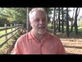 Shadwell Turf Mile  2011- Gio Ponti Race Analysis