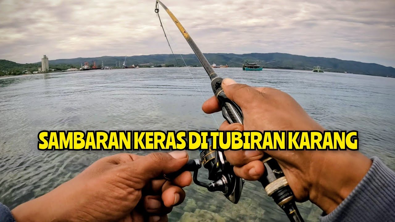 Mancing di karang dangkal | Spot mancing Ultralight | Ultralight fishing Lure | Ultralight fishing