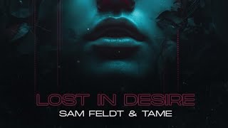 Sam Feldt & TAME - Lost In Desire [Official Audio]