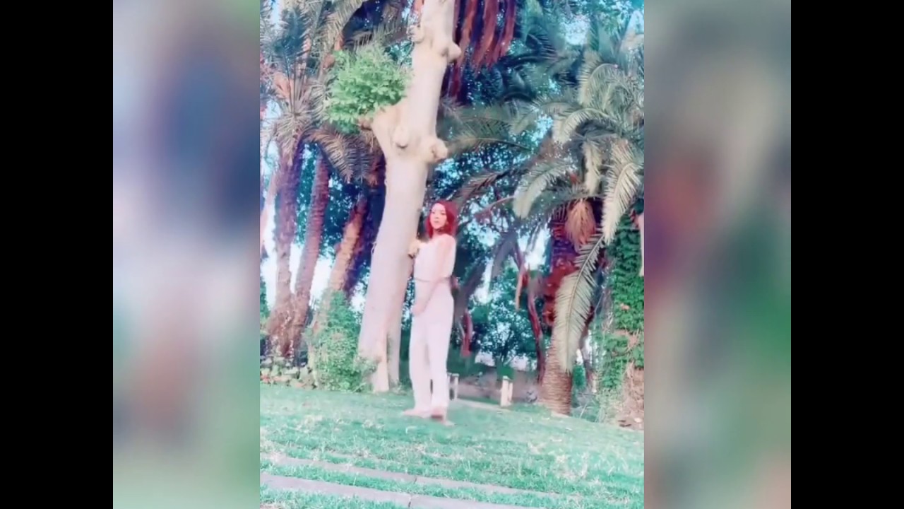 Shoot for tiktok || Rabail shaikh || bol champions