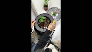 My DIY DWC upgrade