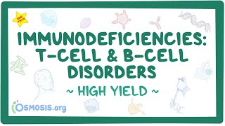 Immunodeficiencies: Tcell and Bcell disorders: Pathology review